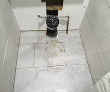 Toilet/shower room (before)